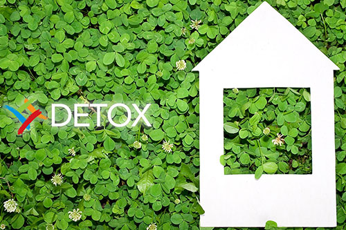detoxtamaison